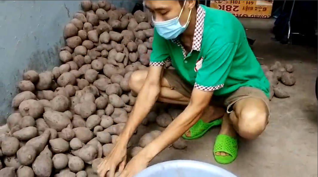 Đóng và phân loại khoai